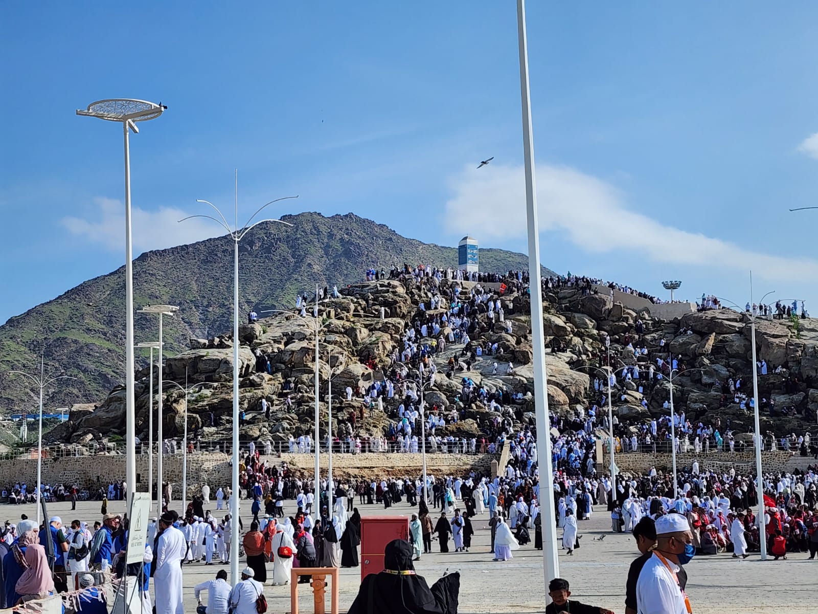 WhatsApp Image 2023-01-17 at 11.02.47 AM (1).jpeg